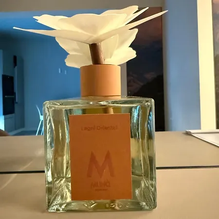 Trilocale Con Vista Mozzafiato Dimora Paroira